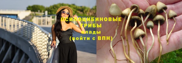 гашик Сосновка