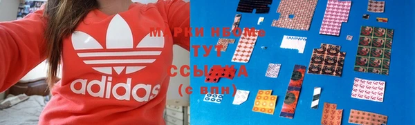 гашик Сосновка