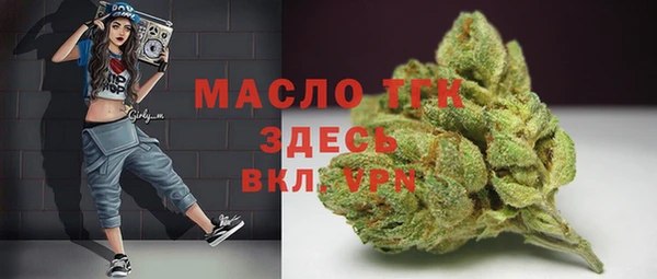 гашик Сосновка
