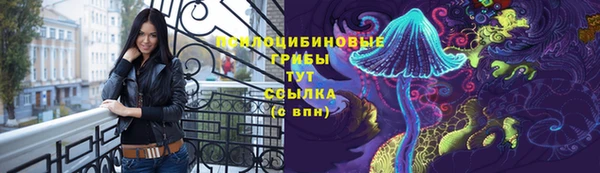 бутират Сосновоборск